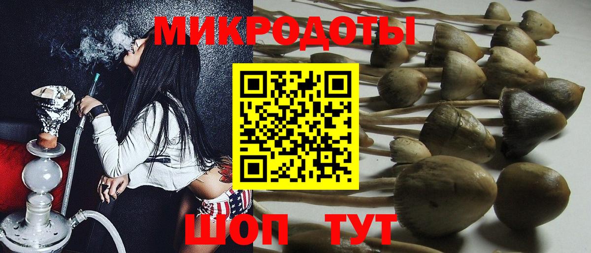 Псилоцибиновые грибы MAGIC MUSHROOMS  закладка  Прохладный  Вход с VPN 