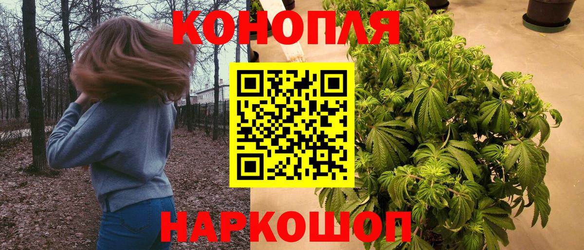 Шишки марихуана White Widow Прохладный